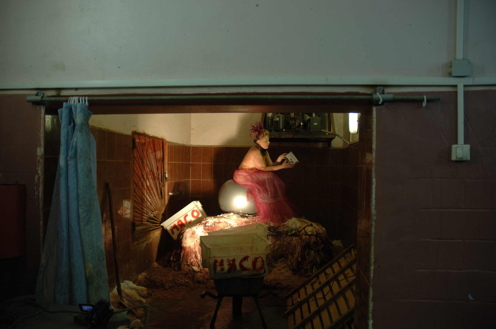 Reader or Princess on a Pea