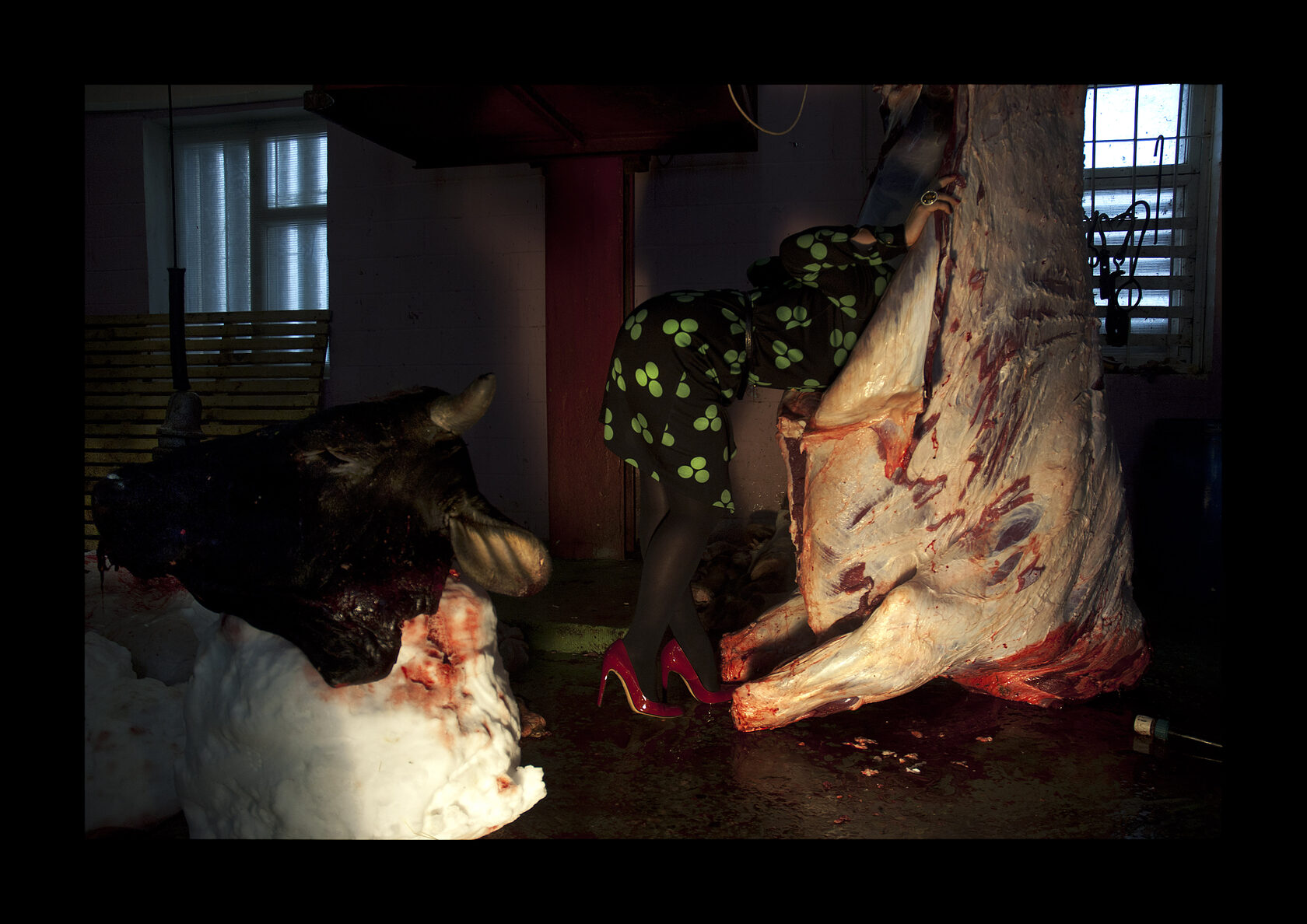 Searching for the Soul